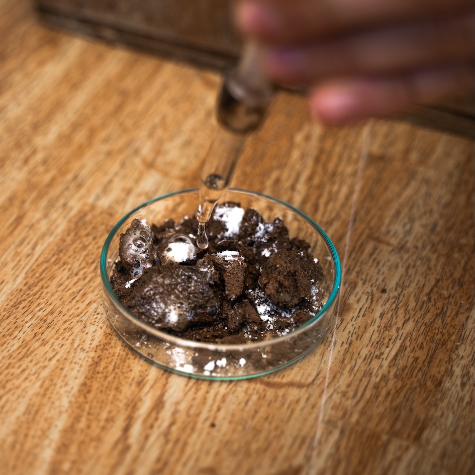 Ergo Dresden - 12.03.25 - 72