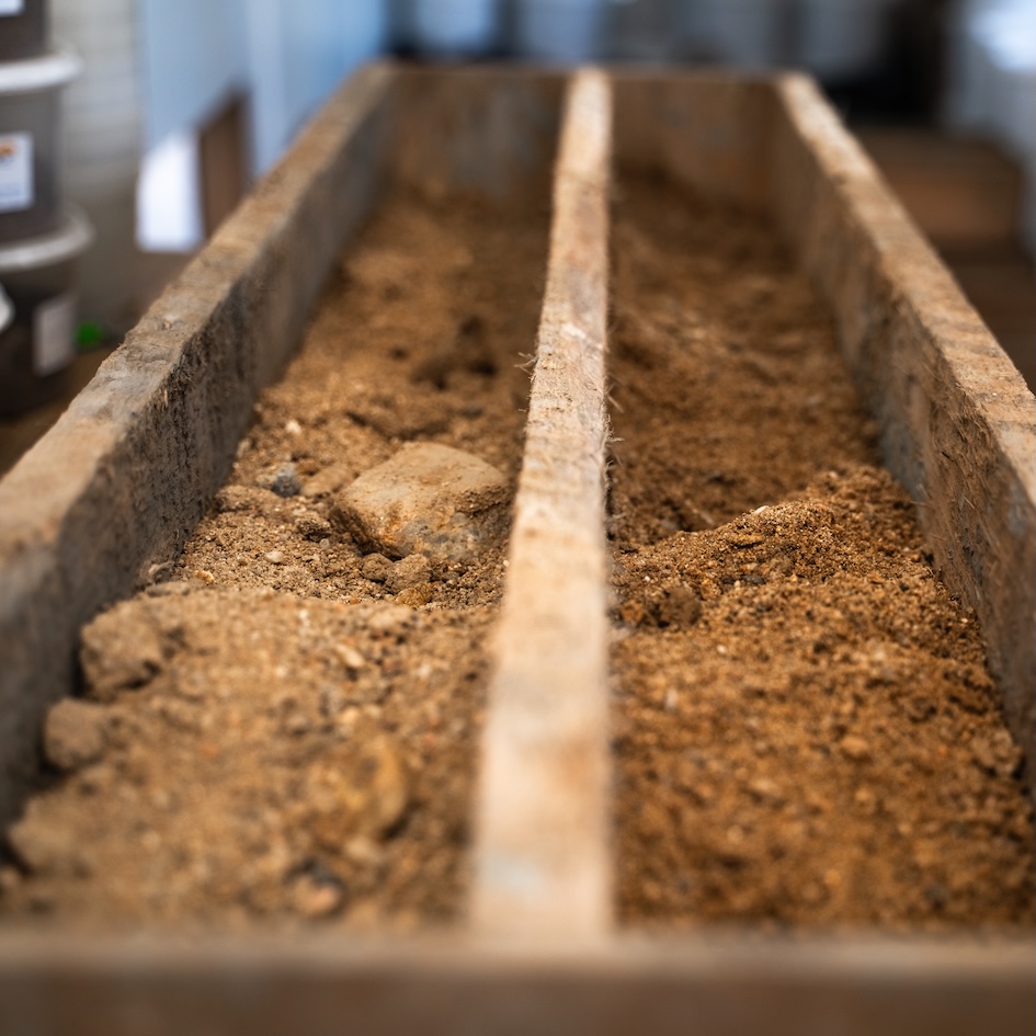 Ergo Dresden - 12.03.25 - 73